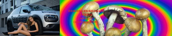 эйфоретик Беломорск