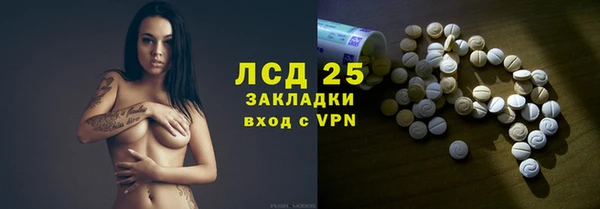 индика Белоозёрский