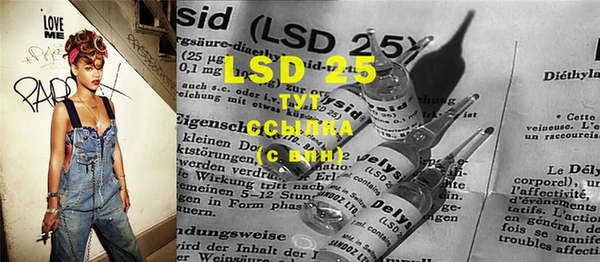 индика Белоозёрский