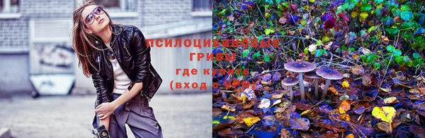 дурь Белокуриха