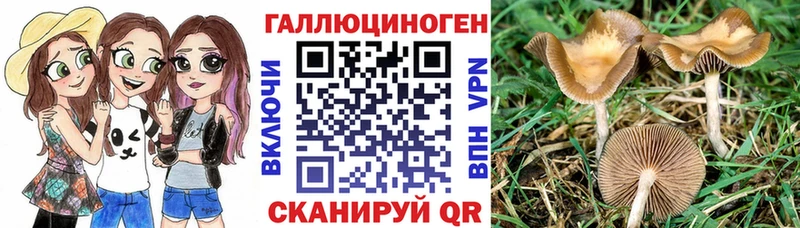 Галлюциногенные грибы GOLDEN TEACHER Навашино